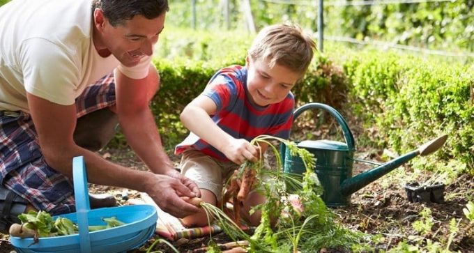 Berkebun bersama anak