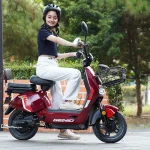 Sepeda Listrik Cocok Untuk Kebutuhan Sehari-hari
